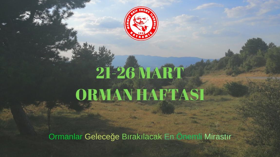 21 26 mart orman haftasi mehmet akif
